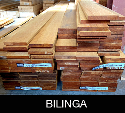 Bilinga