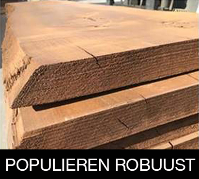 PopulierenRobuust