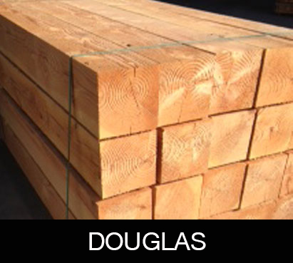 douglas_groot