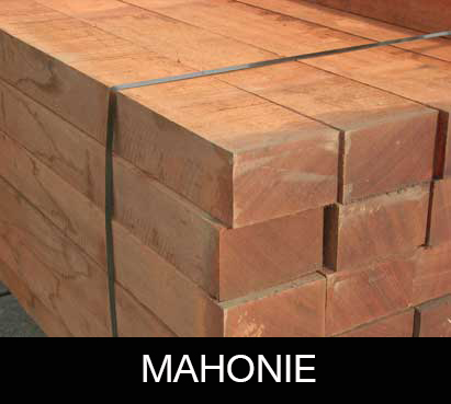 mahonie angelim-azobe