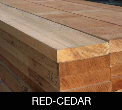 red-cedar