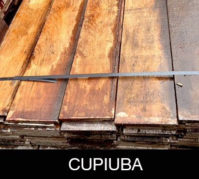 Cupiuba-groot